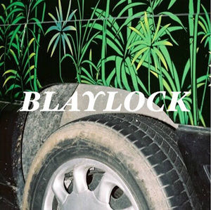Meet your Posher, Blaylock